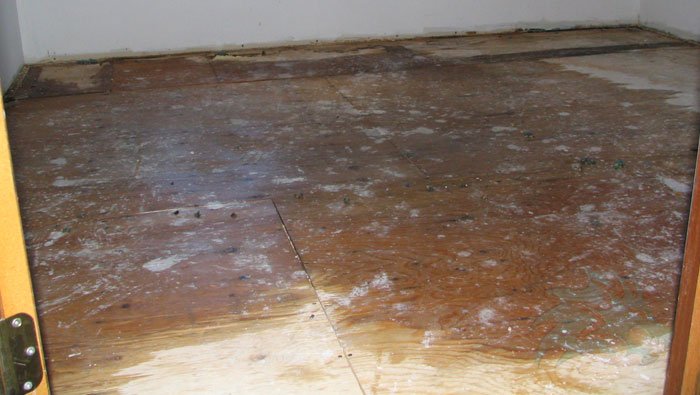 A photo of a soaking wet floor with the carpet and underlay removed.