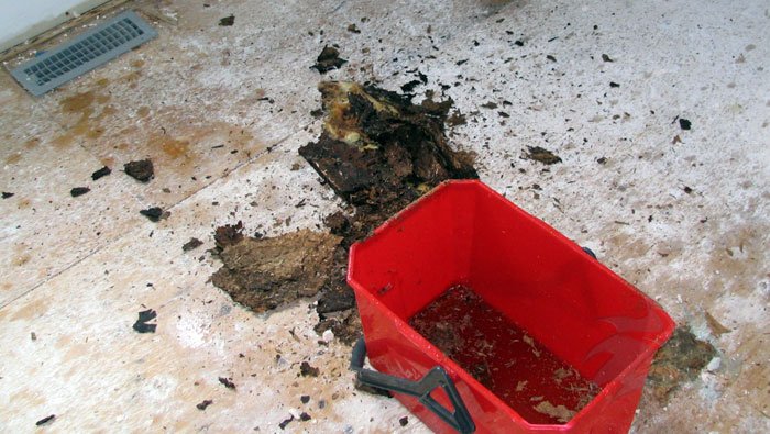 A photo of a red bucket with leak water and ceiling debris floating in it, with more debris on the floor.